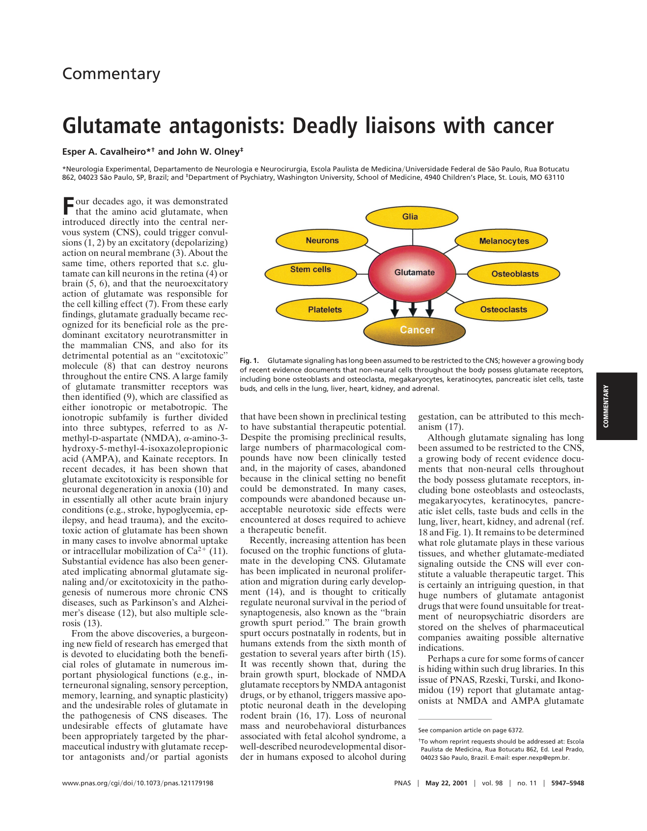 Cover for Gluatamate Antagonists, Deadly Liaisons With Cancer